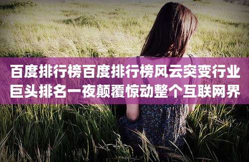 百度排行榜百度排行榜风云突变行业巨头排名一夜颠覆惊动整个互联网界