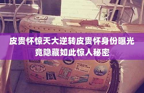 皮贵怀惊天大逆转皮贵怀身份曝光竟隐藏如此惊人秘密