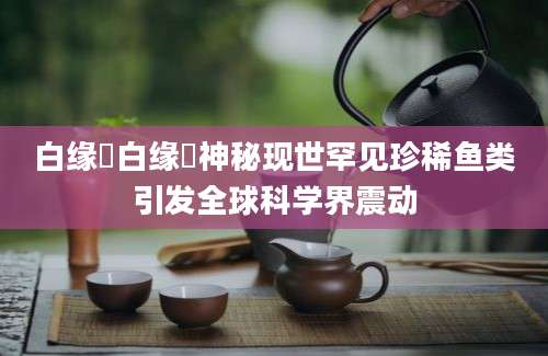 白缘鰑白缘鰑神秘现世罕见珍稀鱼类引发全球科学界震动