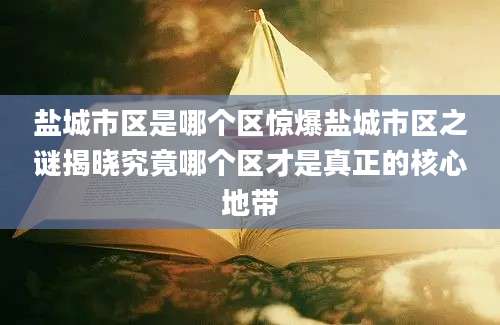 盐城市区是哪个区惊爆盐城市区之谜揭晓究竟哪个区才是真正的核心地带