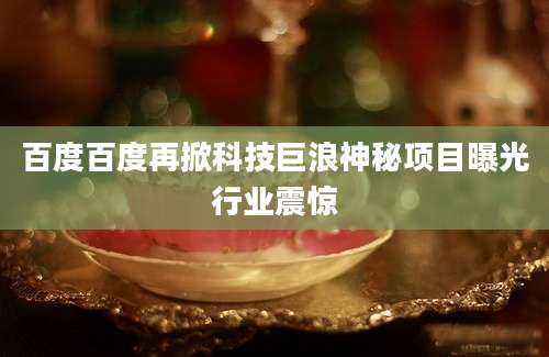 百度百度再掀科技巨浪神秘项目曝光行业震惊
