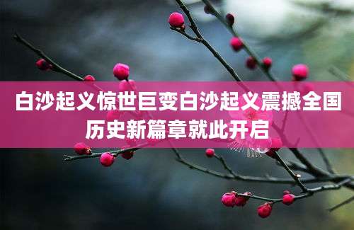 白沙起义惊世巨变白沙起义震撼全国历史新篇章就此开启