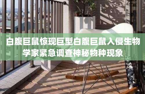 白腹巨鼠惊现巨型白腹巨鼠入侵生物学家紧急调查神秘物种现象