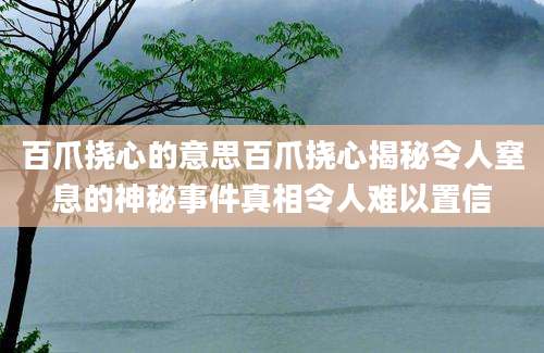 百爪挠心的意思百爪挠心揭秘令人窒息的神秘事件真相令人难以置信