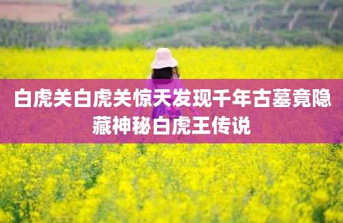 白虎关白虎关惊天发现千年古墓竟隐藏神秘白虎王传说