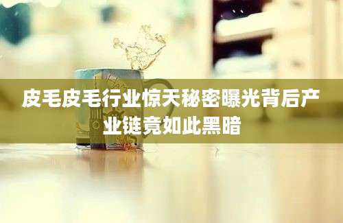 皮毛皮毛行业惊天秘密曝光背后产业链竟如此黑暗