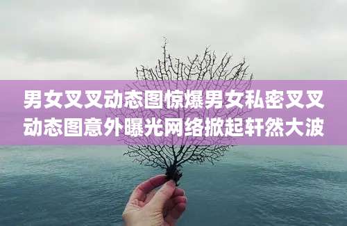 男女叉叉动态图惊爆男女私密叉叉动态图意外曝光网络掀起轩然大波