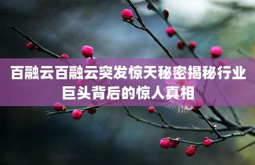 百融云百融云突发惊天秘密揭秘行业巨头背后的惊人真相