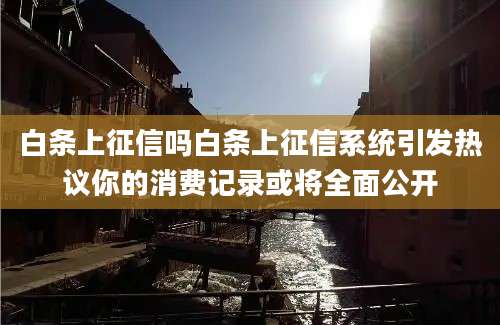 白条上征信吗白条上征信系统引发热议你的消费记录或将全面公开