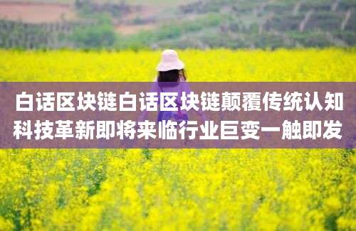 白话区块链白话区块链颠覆传统认知科技革新即将来临行业巨变一触即发