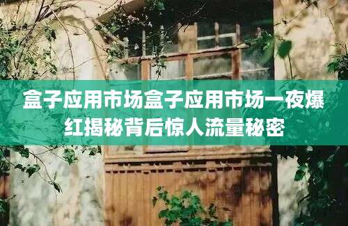 盒子应用市场盒子应用市场一夜爆红揭秘背后惊人流量秘密