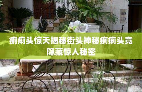 瘌痢头惊天揭秘街头神秘瘌痢头竟隐藏惊人秘密