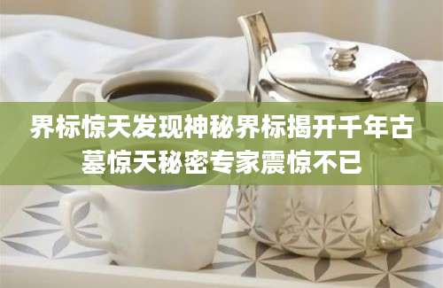 界标惊天发现神秘界标揭开千年古墓惊天秘密专家震惊不已
