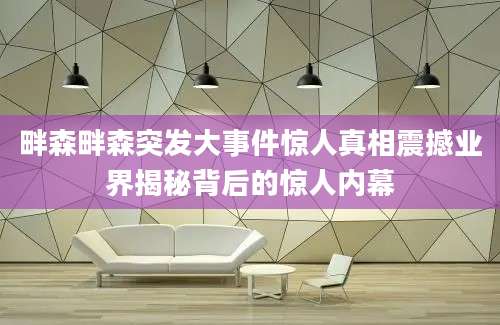 畔森畔森突发大事件惊人真相震撼业界揭秘背后的惊人内幕