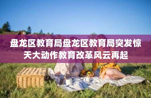 盘龙区教育局盘龙区教育局突发惊天大动作教育改革风云再起