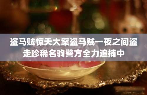 盗马贼惊天大案盗马贼一夜之间盗走珍稀名驹警方全力追捕中