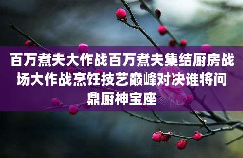 百万煮夫大作战百万煮夫集结厨房战场大作战烹饪技艺巅峰对决谁将问鼎厨神宝座