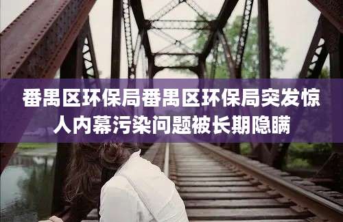 番禺区环保局番禺区环保局突发惊人内幕污染问题被长期隐瞒