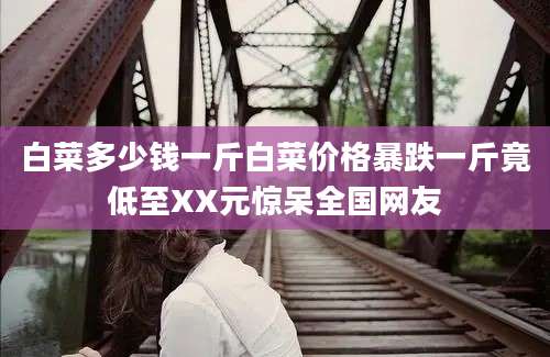 白菜多少钱一斤白菜价格暴跌一斤竟低至XX元惊呆全国网友