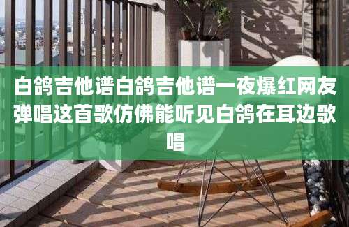白鸽吉他谱白鸽吉他谱一夜爆红网友弹唱这首歌仿佛能听见白鸽在耳边歌唱
