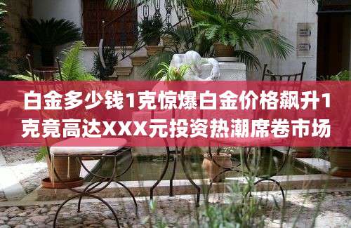 白金多少钱1克惊爆白金价格飙升1克竟高达XXX元投资热潮席卷市场