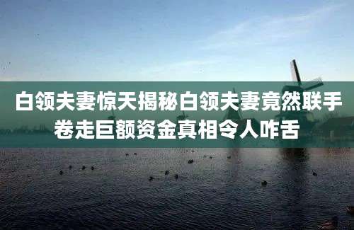 白领夫妻惊天揭秘白领夫妻竟然联手卷走巨额资金真相令人咋舌