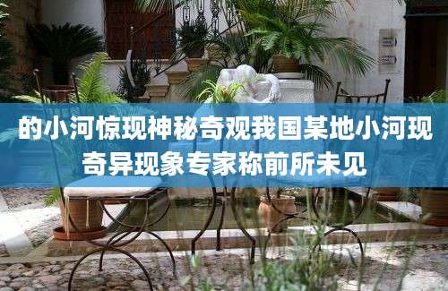 的小河惊现神秘奇观我国某地小河现奇异现象专家称前所未见