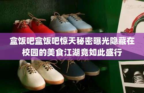 盒饭吧盒饭吧惊天秘密曝光隐藏在校园的美食江湖竟如此盛行