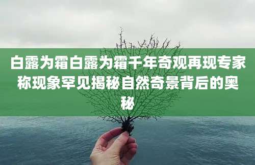 白露为霜白露为霜千年奇观再现专家称现象罕见揭秘自然奇景背后的奥秘