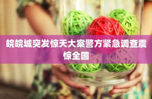 皖皖城突发惊天大案警方紧急调查震惊全国