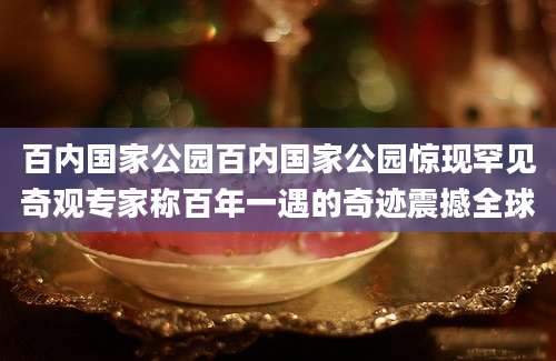 百内国家公园百内国家公园惊现罕见奇观专家称百年一遇的奇迹震撼全球