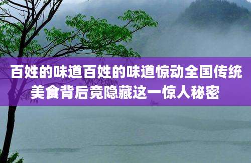 百姓的味道百姓的味道惊动全国传统美食背后竟隐藏这一惊人秘密