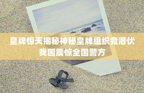 皇牌惊天揭秘神秘皇牌组织竟潜伏我国震惊全国警方