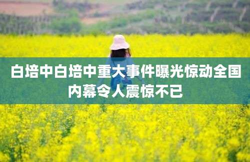 白培中白培中重大事件曝光惊动全国内幕令人震惊不已