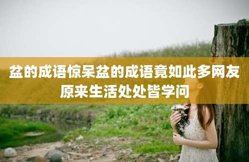 盆的成语惊呆盆的成语竟如此多网友原来生活处处皆学问