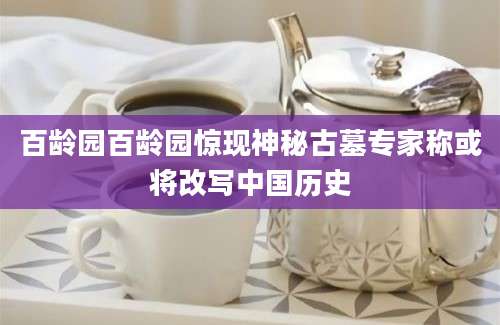 百龄园百龄园惊现神秘古墓专家称或将改写中国历史