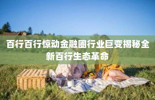 百行百行惊动金融圈行业巨变揭秘全新百行生态革命