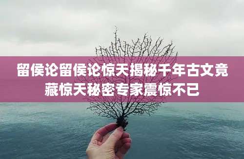 留侯论留侯论惊天揭秘千年古文竟藏惊天秘密专家震惊不已