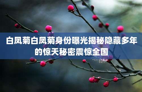 白凤菊白凤菊身份曝光揭秘隐藏多年的惊天秘密震惊全国