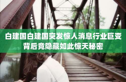 白建国白建国突发惊人消息行业巨变背后竟隐藏如此惊天秘密