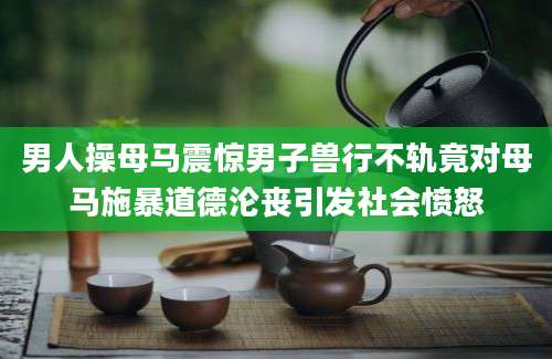 男人操母马震惊男子兽行不轨竟对母马施暴道德沦丧引发社会愤怒
