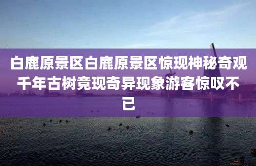 白鹿原景区白鹿原景区惊现神秘奇观千年古树竟现奇异现象游客惊叹不已