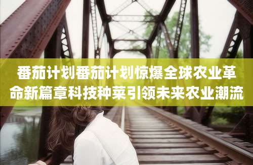 番茄计划番茄计划惊爆全球农业革命新篇章科技种菜引领未来农业潮流
