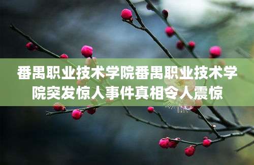 番禺职业技术学院番禺职业技术学院突发惊人事件真相令人震惊