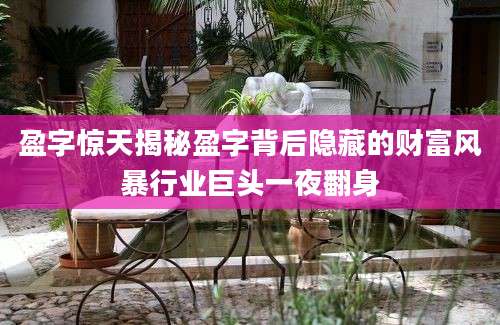 盈字惊天揭秘盈字背后隐藏的财富风暴行业巨头一夜翻身
