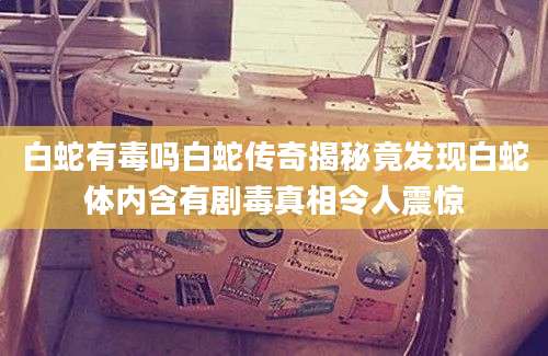 白蛇有毒吗白蛇传奇揭秘竟发现白蛇体内含有剧毒真相令人震惊