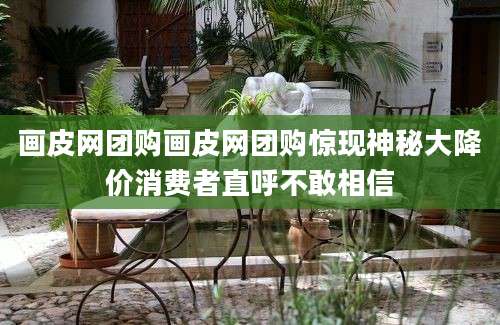 画皮网团购画皮网团购惊现神秘大降价消费者直呼不敢相信