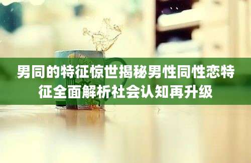 男同的特征惊世揭秘男性同性恋特征全面解析社会认知再升级
