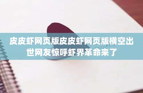 皮皮虾网页版皮皮虾网页版横空出世网友惊呼虾界革命来了