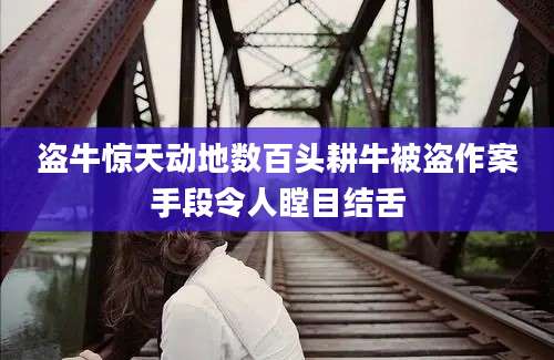盗牛惊天动地数百头耕牛被盗作案手段令人瞠目结舌
